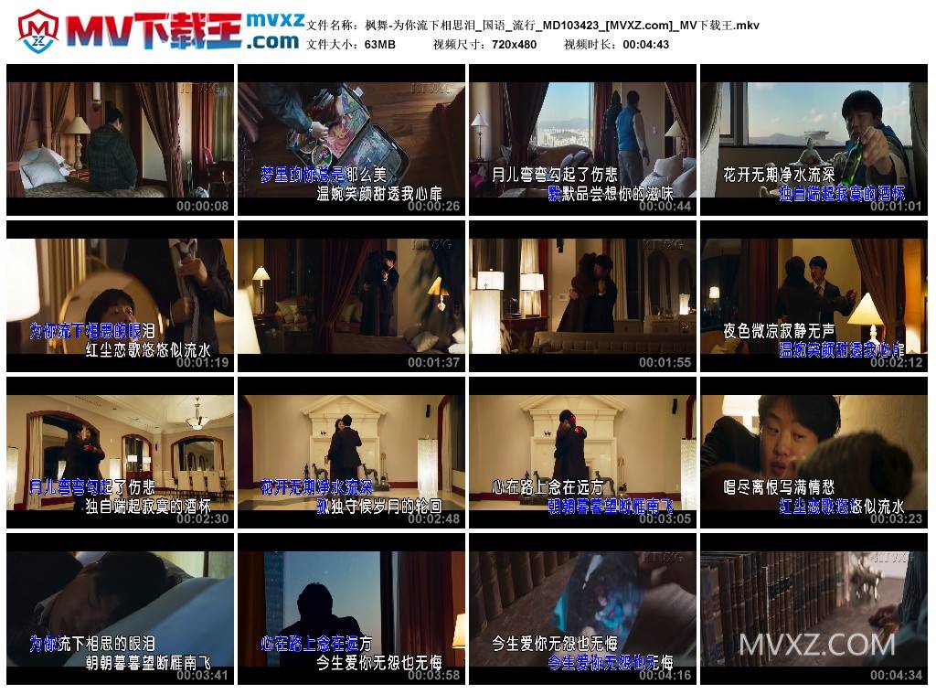 枫舞-为你流下相思泪_国语_流行_MD103423